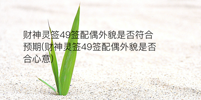 佛祖灵签13游戏截图