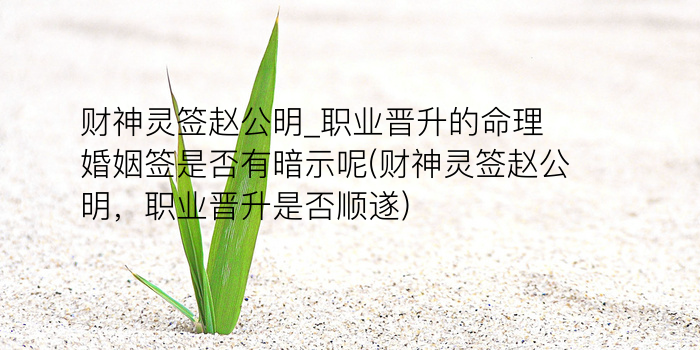 月老灵签第95签好不好游戏截图