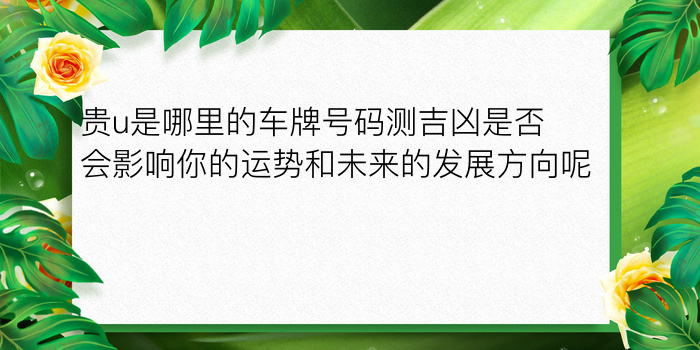 贵u是哪里的车牌号码测吉凶是否会影响你的运势和未来的发展方向呢