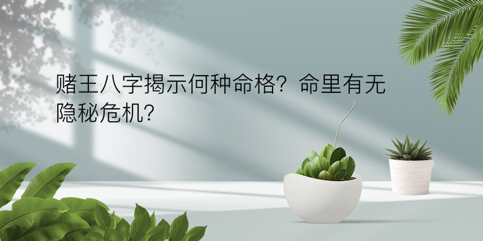 刘芳菲八字运程游戏截图