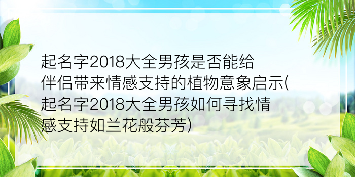 起名字2018大全男孩是否能给伴侣带来情感支持的植物意象启示(起名字2018大全男孩如何寻找情感支持如兰花般芬芳)