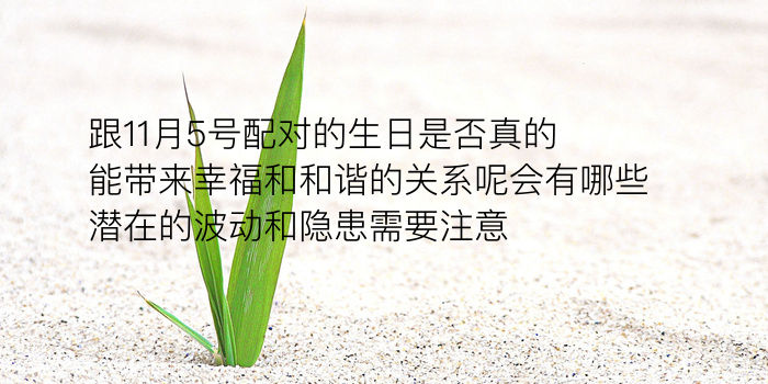 厮守终生的星座配对游戏截图