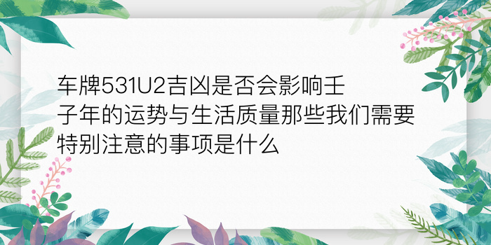 号令天下车牌号码测吉凶游戏截图