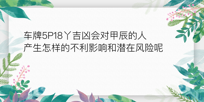 车牌5P18丫吉凶会对甲辰的人产生怎样的不利影响和潜在风险呢