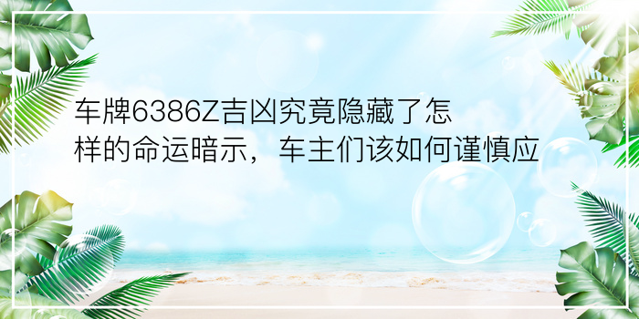 车牌6386Z吉凶究竟隐藏了怎样的命运暗示，车主们该如何谨慎应对