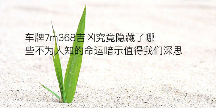 车牌7m368吉凶究竟隐藏了哪些不为人知的命运暗示值得我们深思