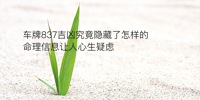 生日属相配对游戏截图