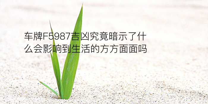 车牌F5987吉凶究竟暗示了什么会影响到生活的方方面面吗