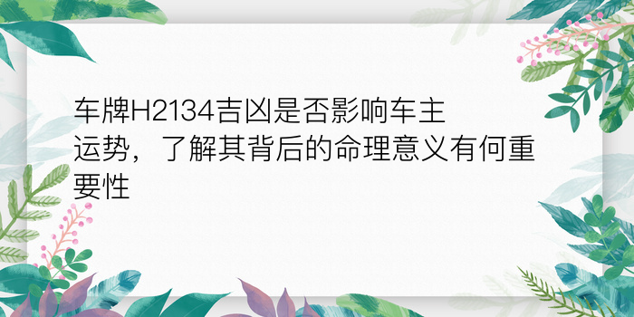 测试姓名配对游戏截图