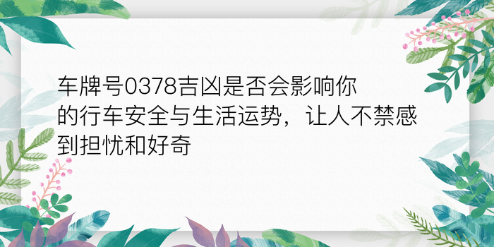 车牌吉凶测号游戏截图