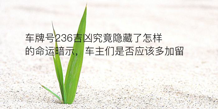 车牌号236吉凶究竟隐藏了怎样的命运暗示，车主们是否应该多加留意