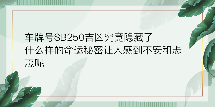 十二星座婚姻配对表游戏截图