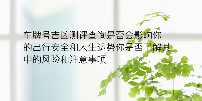 车牌号吉凶在线查询游戏截图