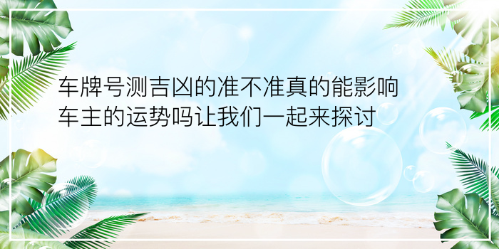 选车牌测吉凶游戏截图