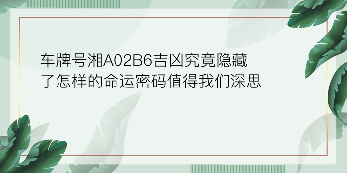 SY777命理网