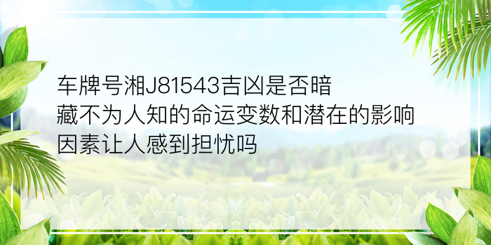 车牌号湘J81543吉凶是否暗藏不为人知的命运变数和潜在的影响因素让人感到担忧吗