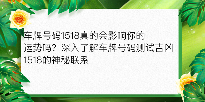 婚配属相猪和鼠游戏截图