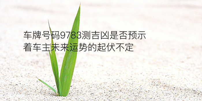 车牌号码9783测吉凶是否预示着车主未来运势的起伏不定