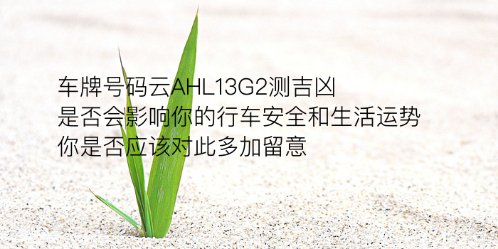 验车牌吉凶游戏截图