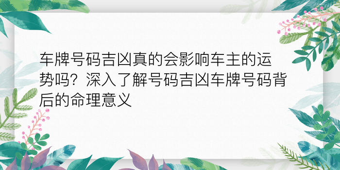 姓名八字配对测姻缘游戏截图