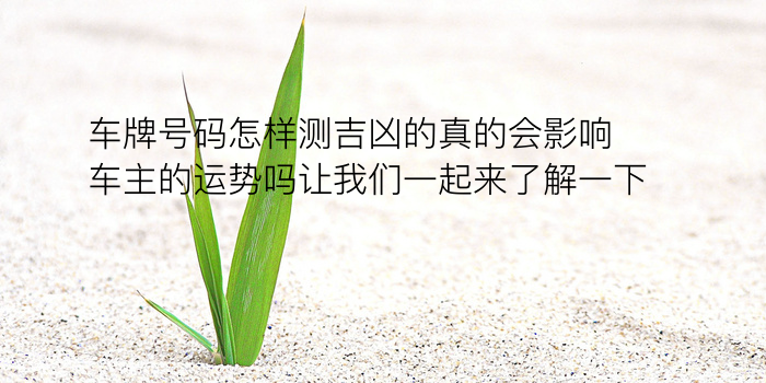 生日婚姻配对玩具游戏截图