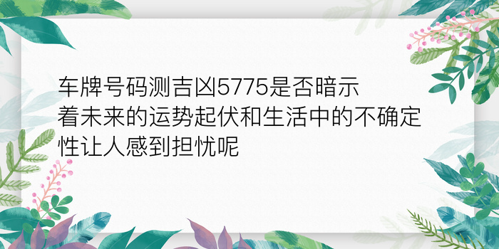 8当命理网