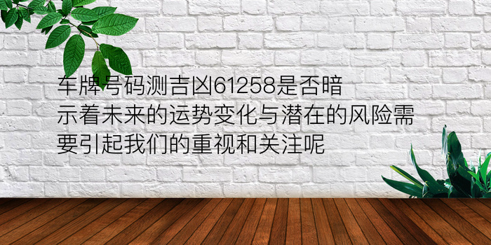 属猴的属相婚配游戏截图