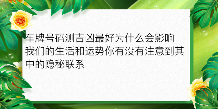 属鸡的手机号配对游戏截图