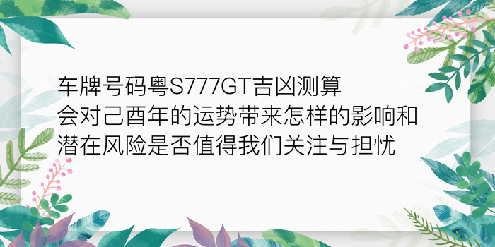 车牌号码测试吉凶游戏截图