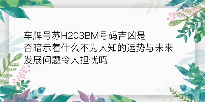 车牌号苏H203BM号码吉凶是否暗示着什么不为人知的运势与未来发展问题令人担忧吗