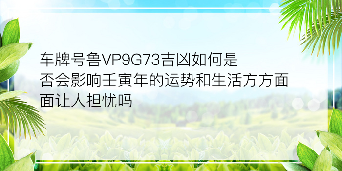 车牌号鲁VP9G73吉凶如何是否会影响壬寅年的运势和生活方方面面让人担忧吗