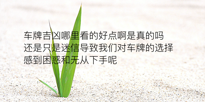 生肖与手机号的配对游戏截图