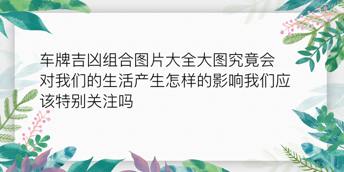 鸡生肖配对游戏截图