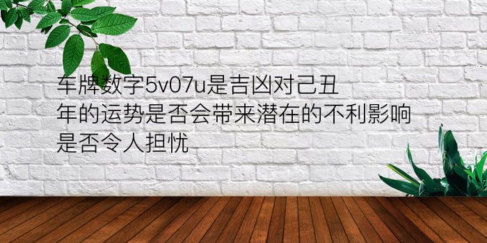 车牌数字5v07u是吉凶对己丑年的运势是否会带来潜在的不利影响是否令人担忧