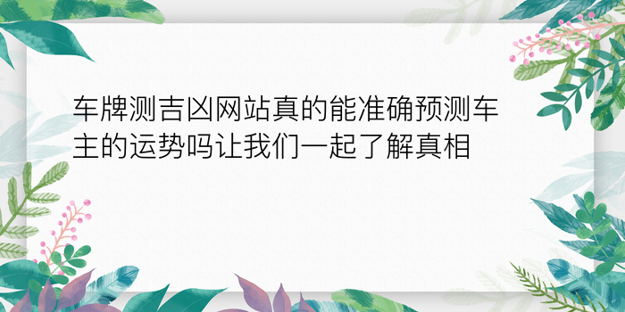 车牌数字的吉凶游戏截图