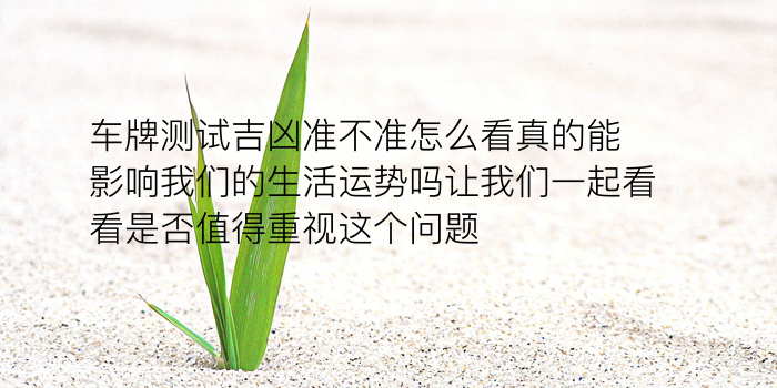 兔年生肖配对游戏截图