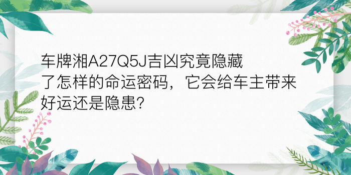 属相生日配对测试婚姻游戏截图