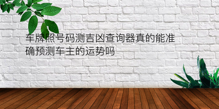 车牌照号码测吉凶查询器真的能准确预测车主的运势吗