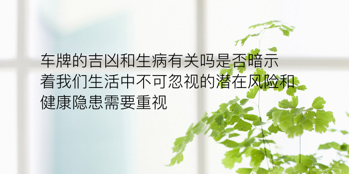 车牌的吉凶和生病有关吗是否暗示着我们生活中不可忽视的潜在风险和健康隐患需要重视