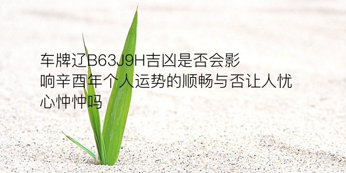 车牌辽B63J9H吉凶是否会影响辛酉年个人运势的顺畅与否让人忧心忡忡吗