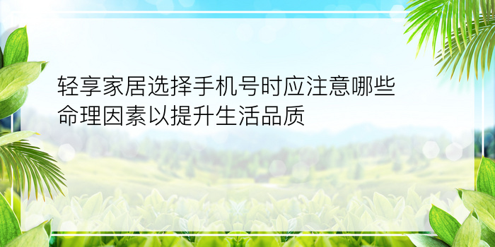 轻享家居选择手机号时应注意哪些命理因素以提升生活品质