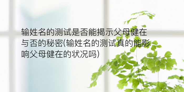 诸葛测字124签游戏截图