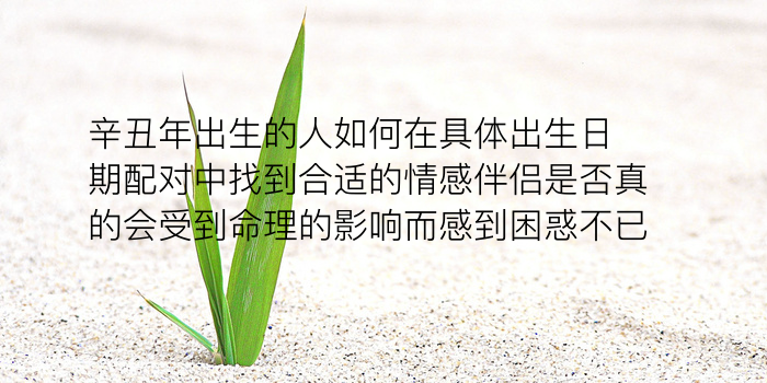 姓名测婚姻配对游戏截图