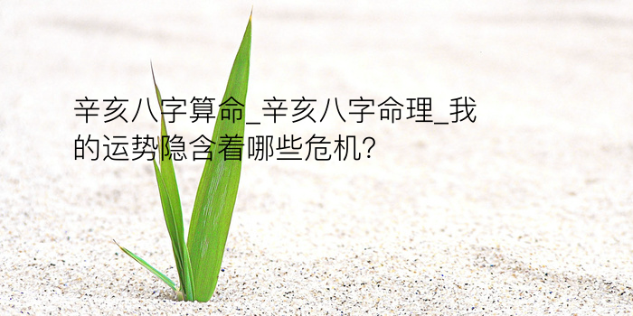 辛亥八字算命_辛亥八字命理_我的运势隐含着哪些危机？