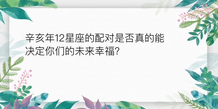 生日配对指数游戏截图