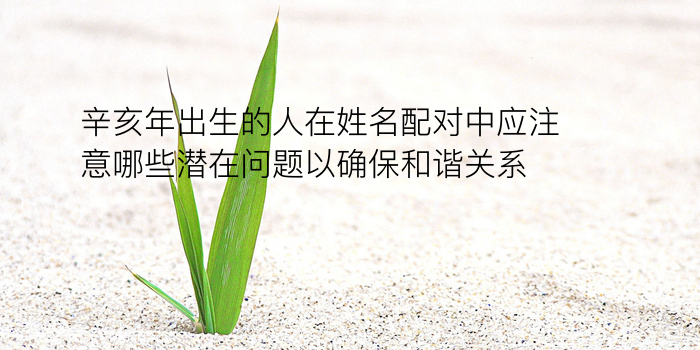 八字姓名配对游戏截图