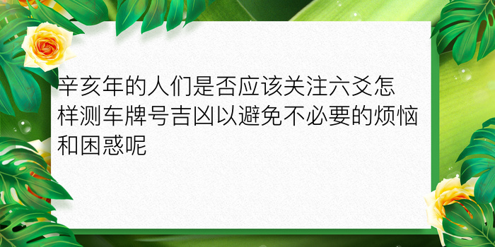 辛亥年的人们是否应该关注六爻怎样测车牌号吉凶以避免不必要的烦恼和困惑呢