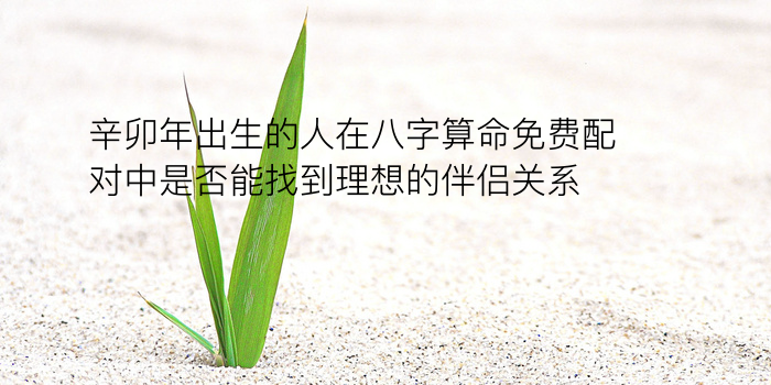 生辰八字起名原则游戏截图