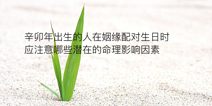 48生日配对游戏截图