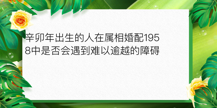 车牌号码测吉凶对照表游戏截图